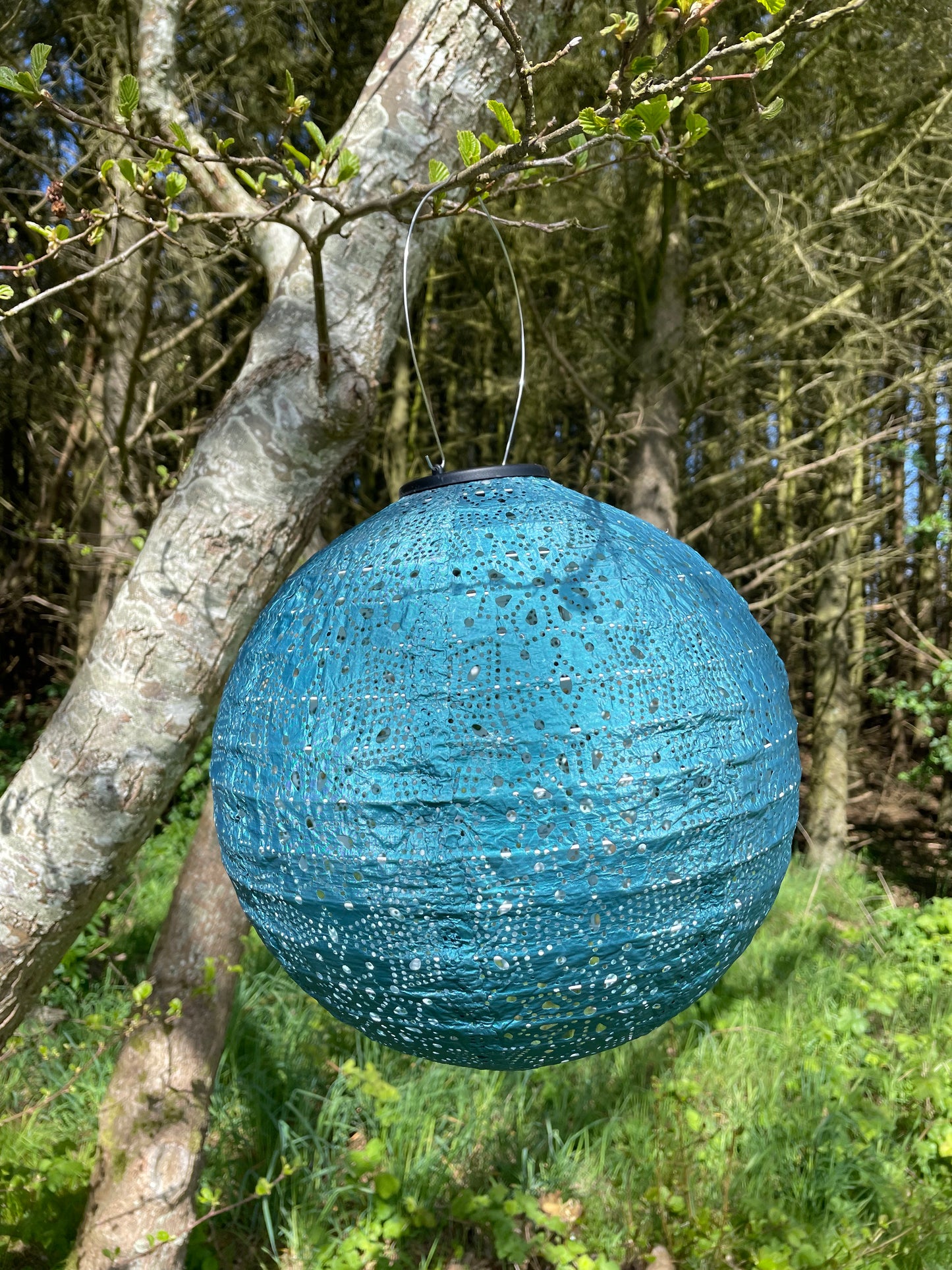 Grantræet (rund mørkegrøn)