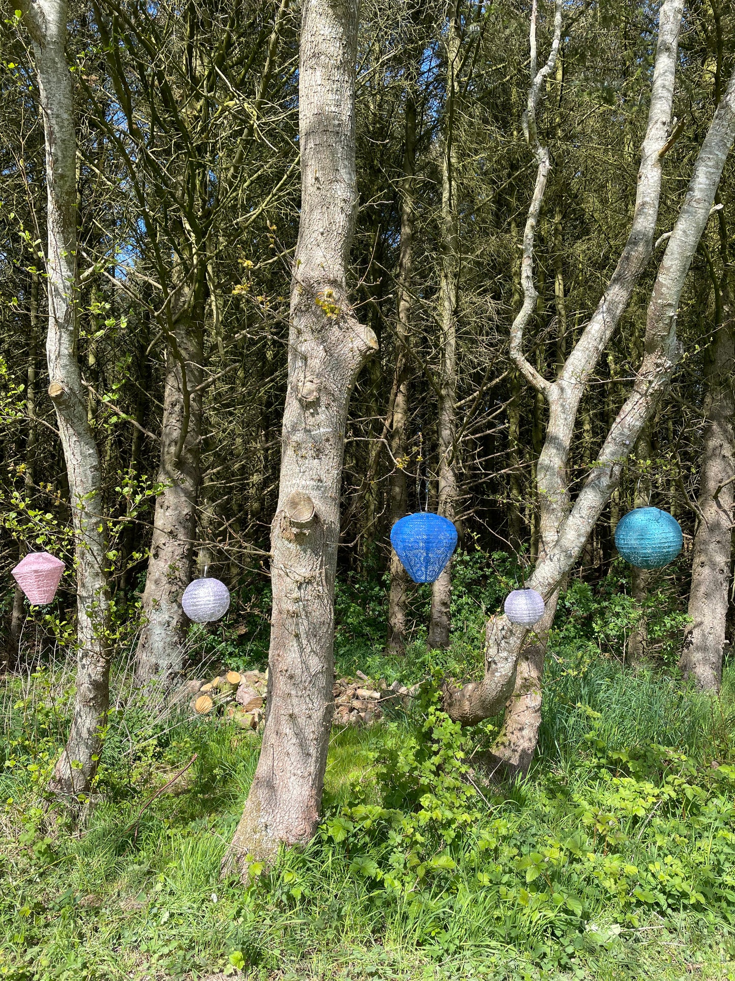 Grantræet (rund mørkegrøn)