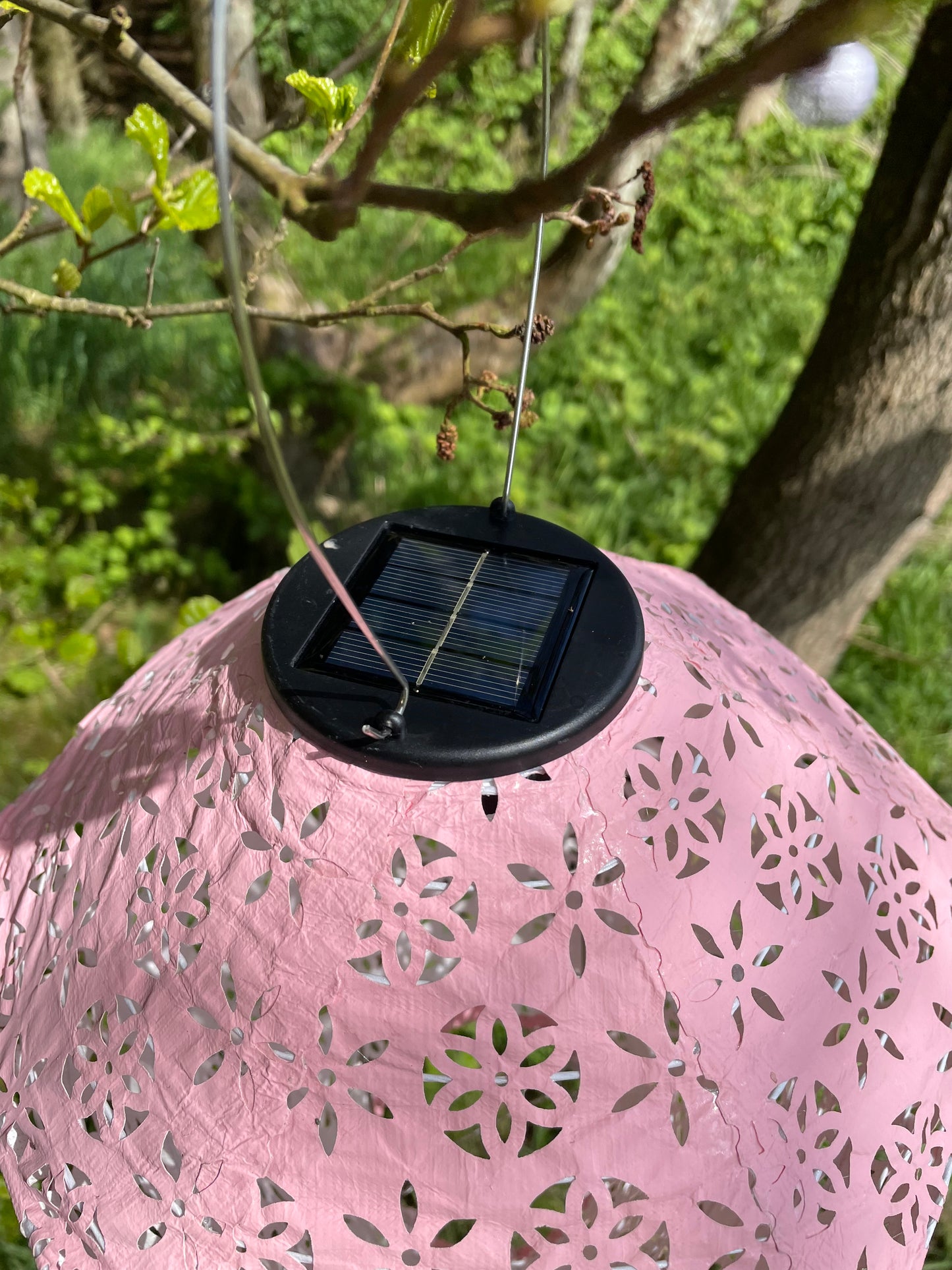 Tommelise (lyserød diamantform)