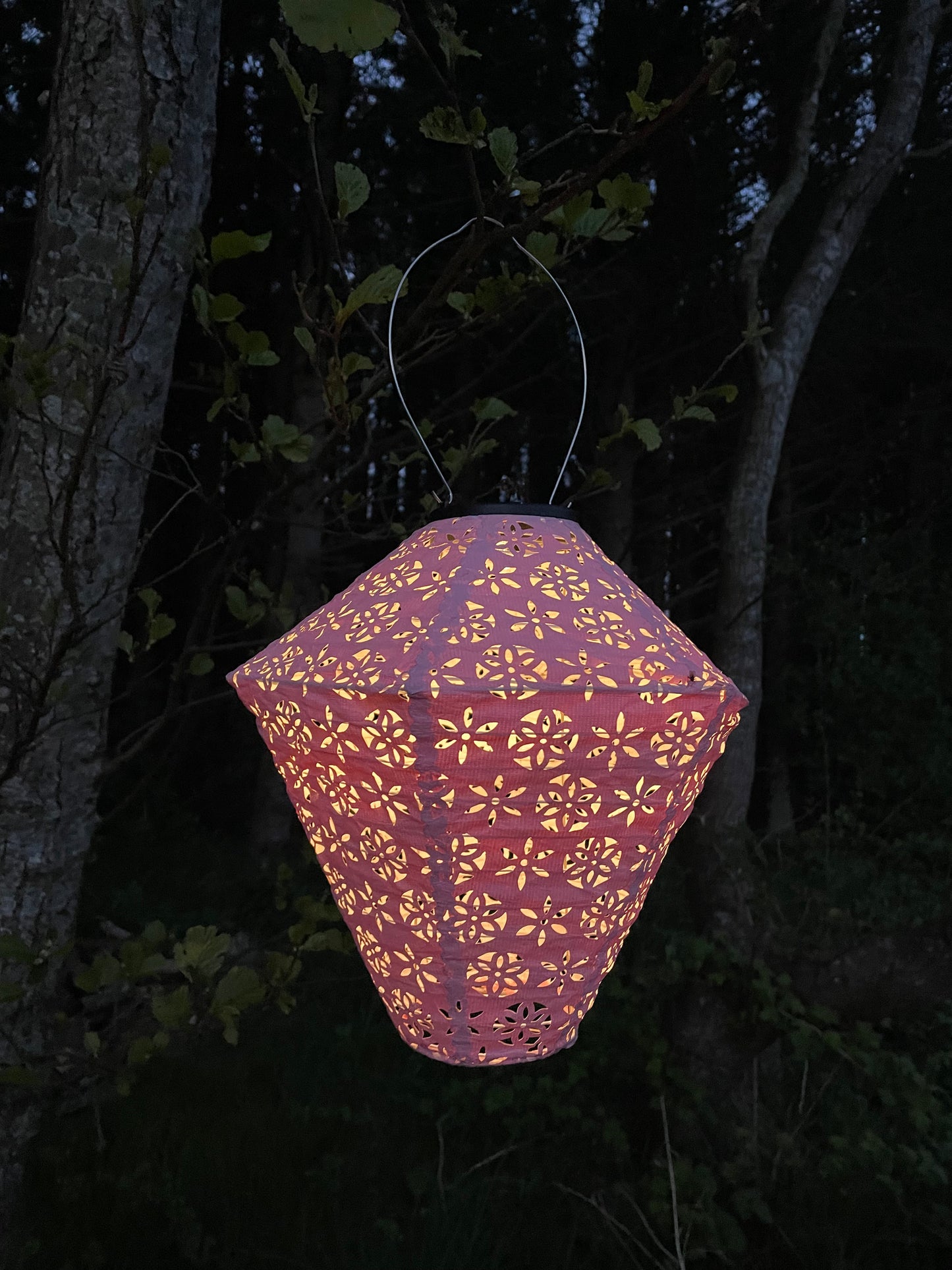 Tommelise (lyserød diamantform)