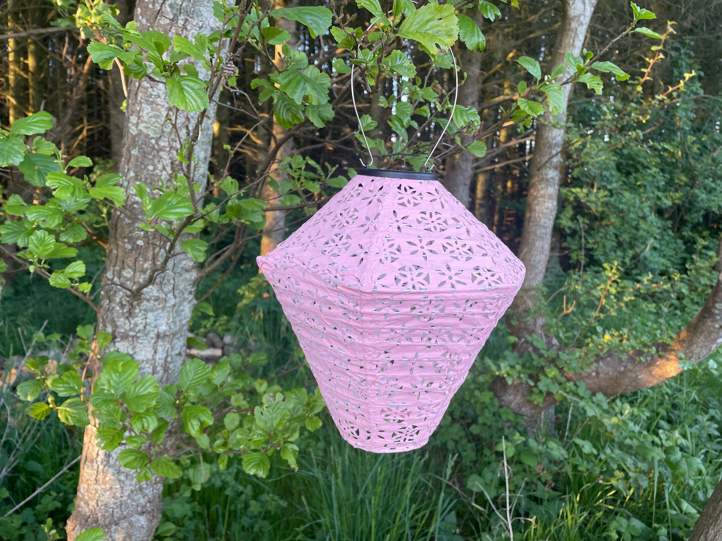 Tommelise (lyserød diamantform)