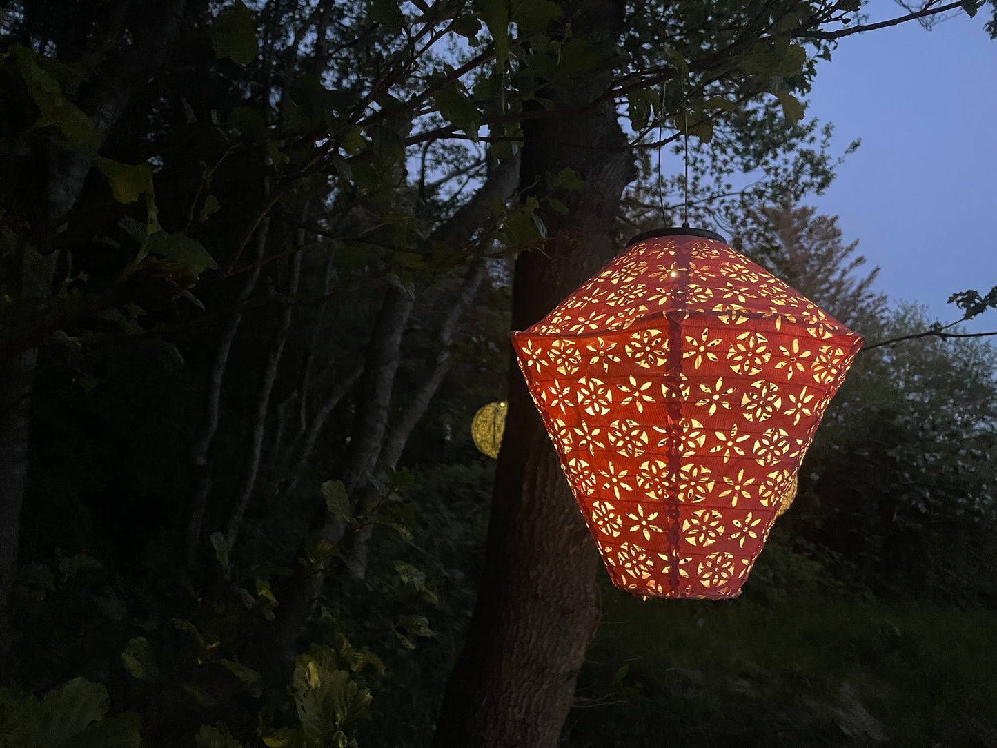 Tommelise (lyserød diamantform)